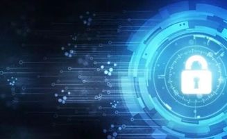 安領國際(08410) 香港IT安全解決方案龍頭增長步伐放緩